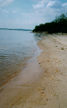 Volga River - northern shore beach